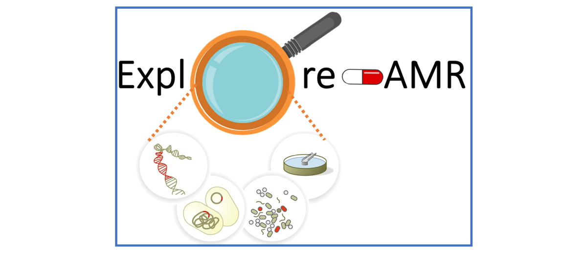 Logo des Projekts Explore AMR