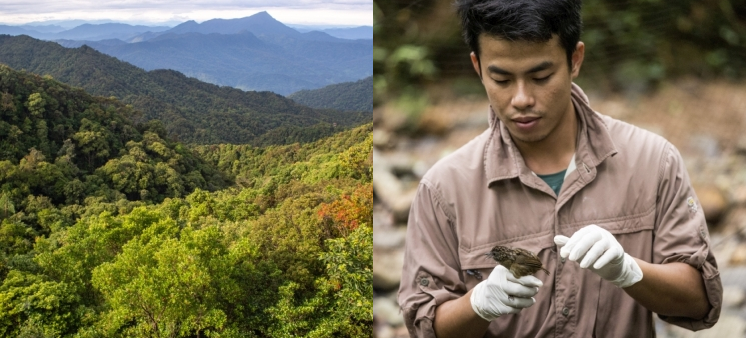 Biodiversitätsforschung in Vietnam © MfN / Schurian