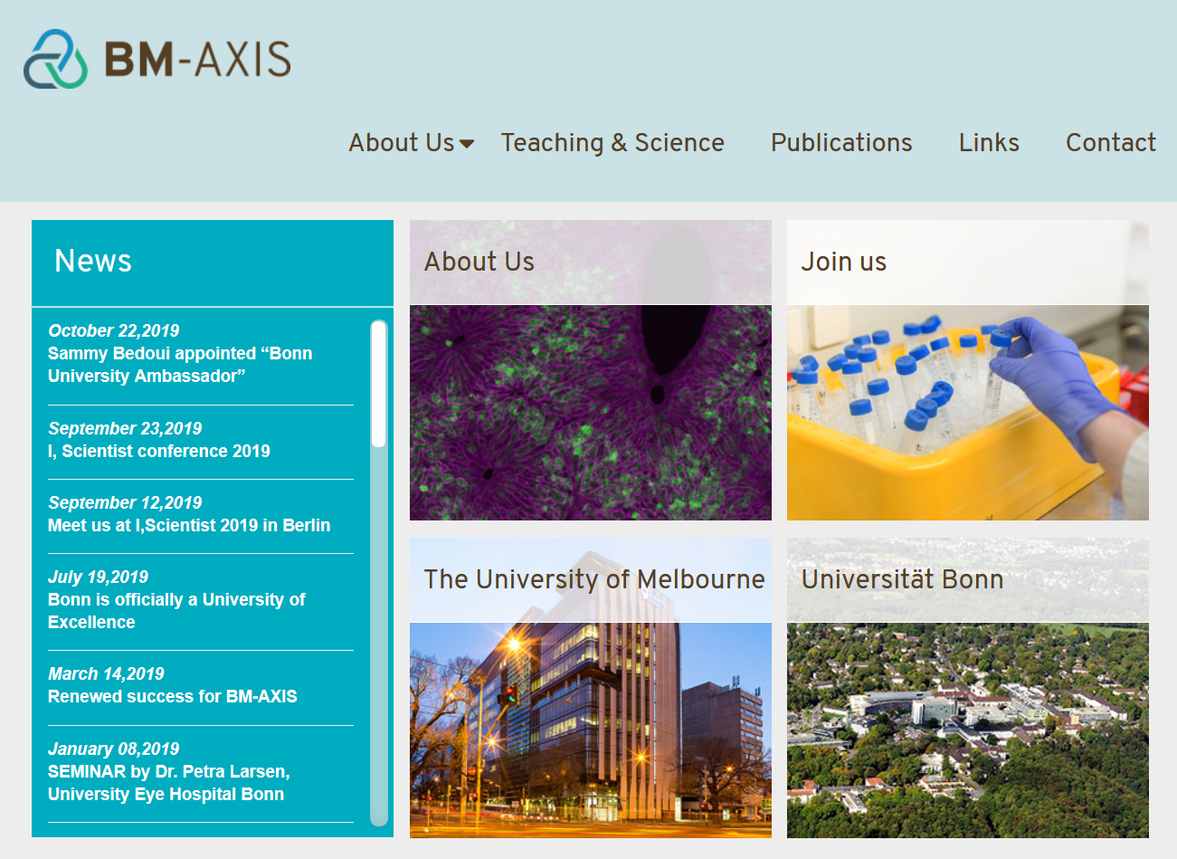 Screenshot der BM-AXIS Website