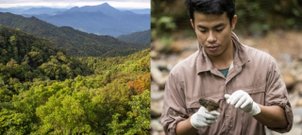 Biodiversitätsforschung in Vietnam