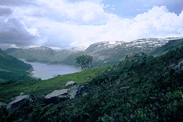 Landschaft mit See